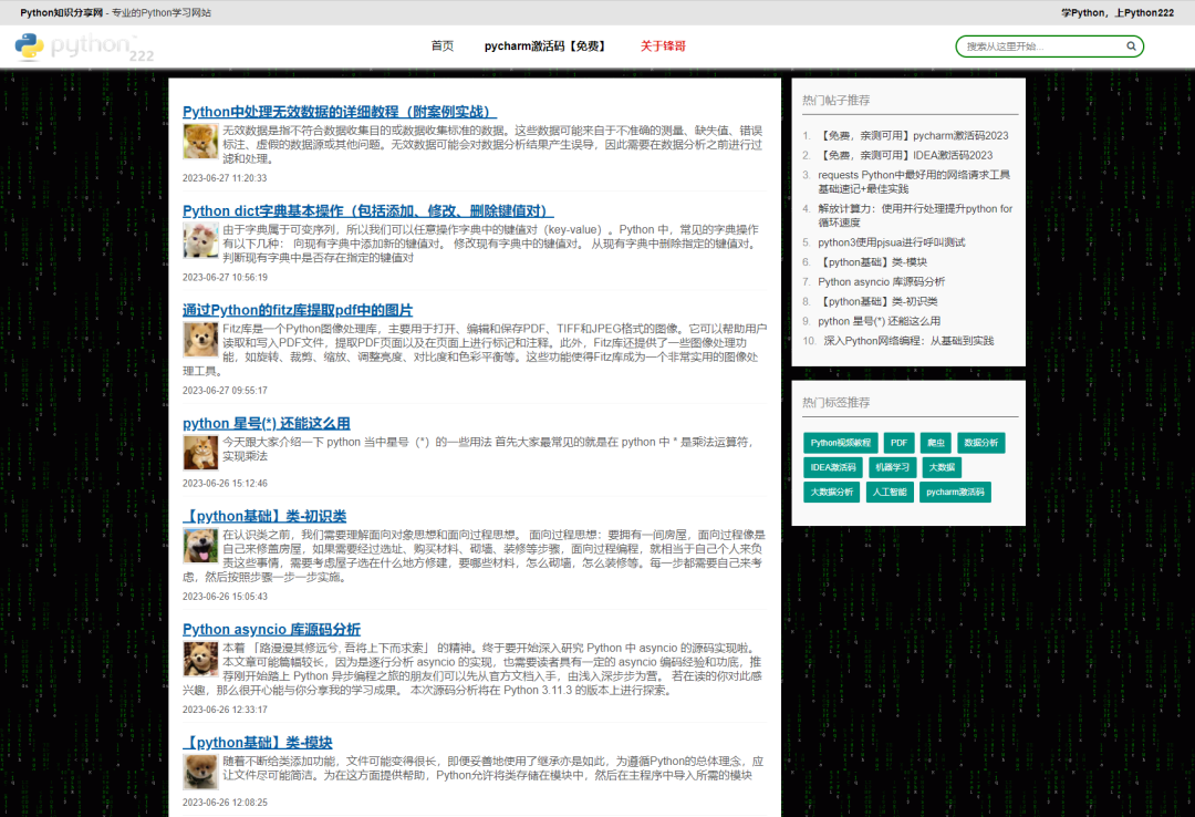 Python222.com网站源码领取 图1