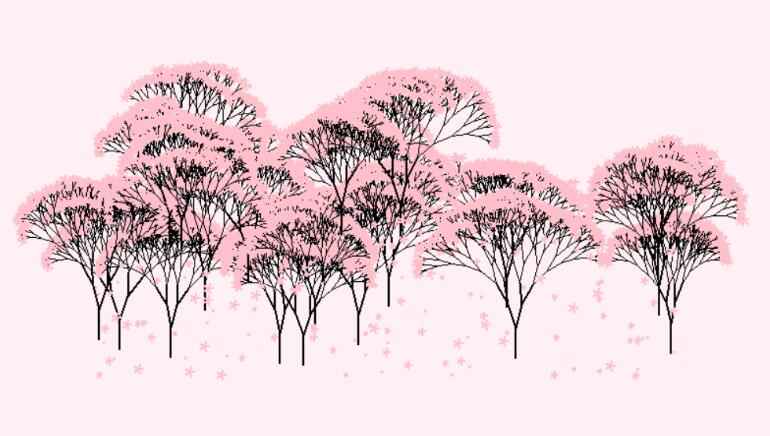  Python实现樱花树代码  图3