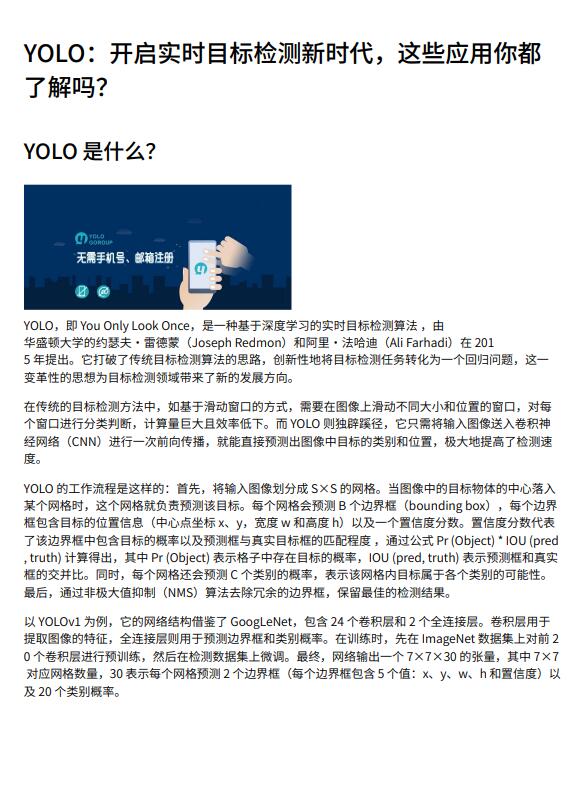 【计算机视觉】YOLO实时目标检测算法综述：原理、特点、应用领域及发展趋势分析 PDF 下载 图1