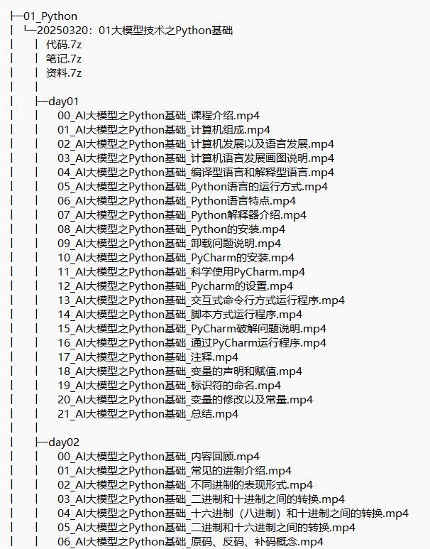 AI大模型技术人工智能 视频教程 下载  图1